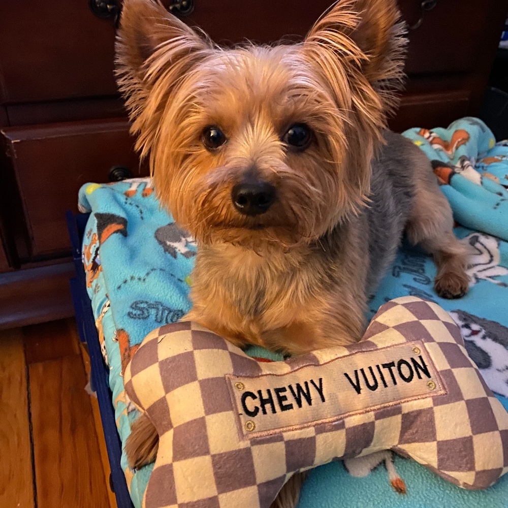 Meet your Posher, Posh